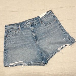 Size 20 American Eagle Mom Shorts